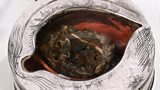 More from Radio 4: Shakespeare's Restless World