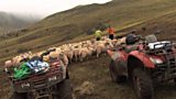 Farming in the Black Mountains