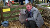 Judging rare breeds
