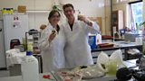 The science behind sheep