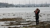 Ellie, oysters and terns