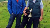 Tom and the disappearing sheep