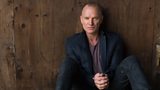 Sting