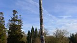 Totem Pole in Windsor Great Park