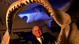 Shark attack survivor Rodney Fox, fifty years after being mauled by a Great White