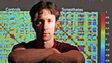 David Eagleman