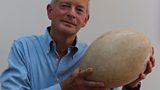 Professor Tim Birkhead