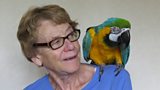 Vicky Hammond and Max the parrot
