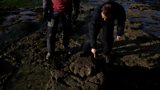 Fossils