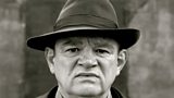 Brendan Gleeson