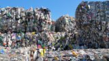 Plastic bottles ready to be given a new life through recycling.