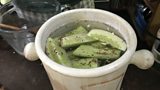 Over to you: A step-by-step fermentation guide by Sandor Katz.