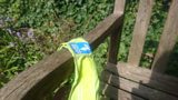A Guide Dogs Harness