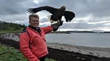 Sea Eagles' Landing?