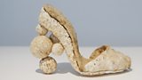The Art, Design and Future of Fungi.