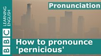 pernicious.jpg