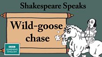 6_yt_cover_wild_goose.jpg