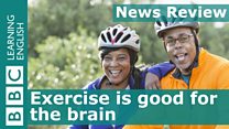 News Review Exercise