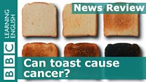 YT_newsreview_toast.jpg
