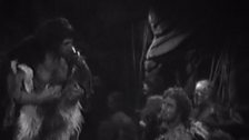 The Forest of Fear