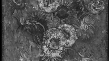 X-ray of Sunflowers by Vincent van Gogh © National Gallery, London