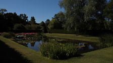 The Garden
