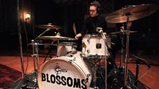 Blossoms