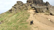 Wainstones