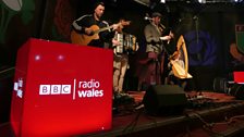 Calan peforming live