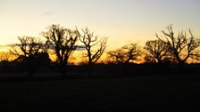 'AR DORIAD GWAWR'
