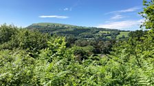 Views across the valley from Nantgawr
