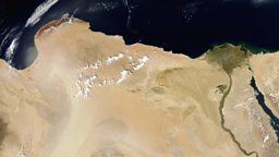 Tourists killed by Egyptian forces
