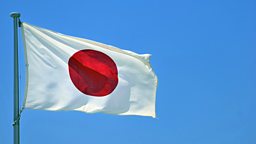 Japan whaling