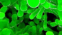 Superbug threat