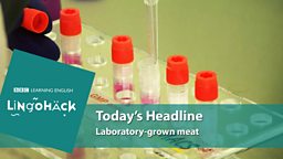 Laboratory-grown meat