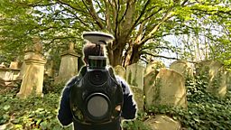 Mapping the dead