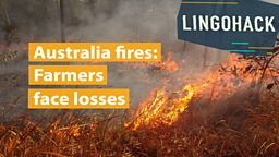 Australia fires: Farmers face losses