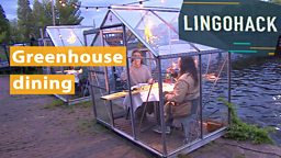 Greenhouse dining