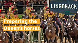 Preparing the Queen's horses