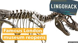 Famous London museum reopens