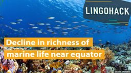 Decline in richness of marine life near equator