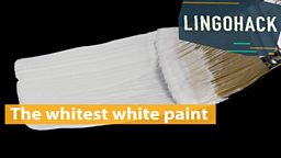 The whitest white paint