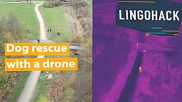 Dog rescue with a drone