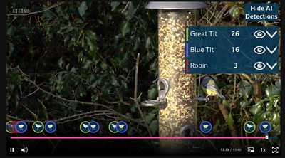 AI assesses the great tit