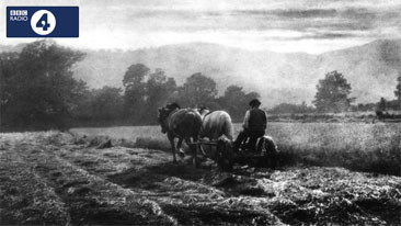 Horse-drawn farming